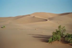 Merzougha Dunes