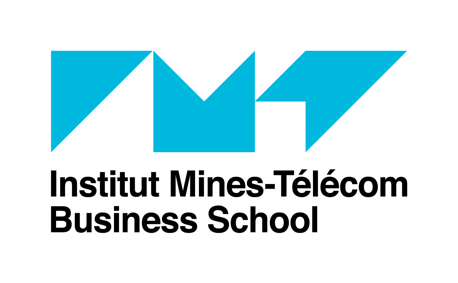 Institut Mines-Telecom Business School